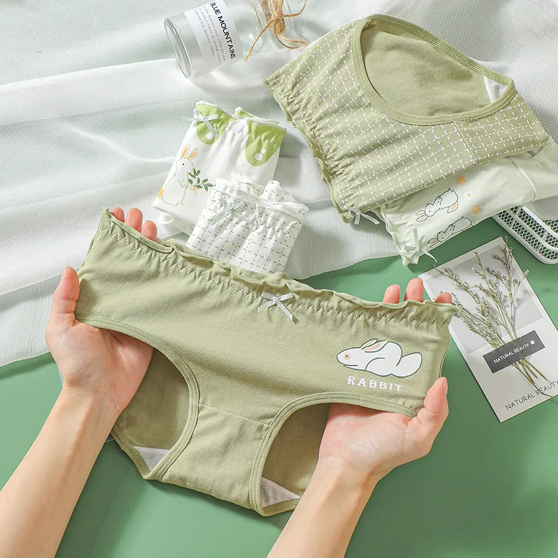 Dior Beauty Underpants Women's 5 Pack-1