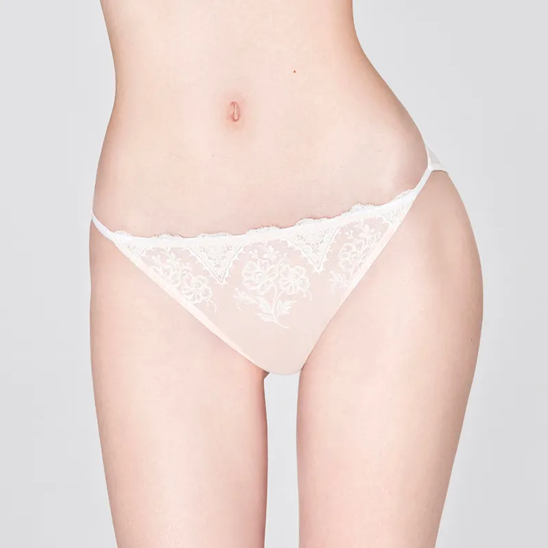 MISS CURIOSITY Underpants Women's Box 1 Pack-2