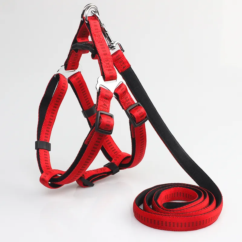 Younice Dog / Cat Collars-6