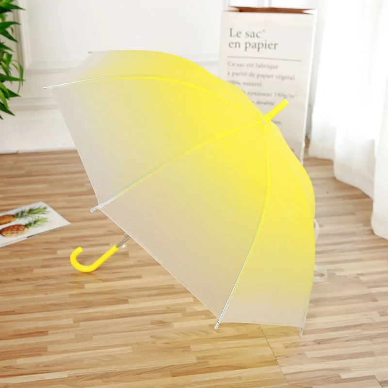 FY Umbrellas Transparent Matte Gradient-21