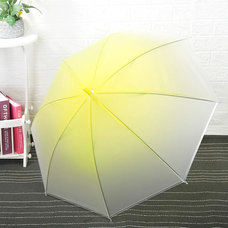 FY Umbrellas Transparent Matte Gradient-20