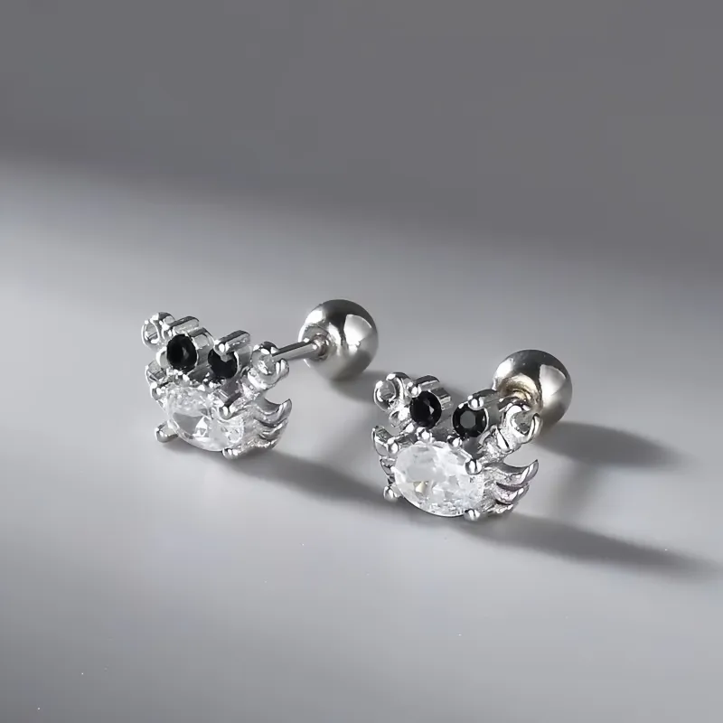 BKBU 990 Foot Silver Zircon Stud Earrings Unisex-6