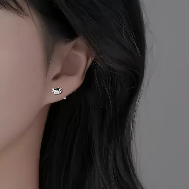 BKBU 990 Foot Silver Zircon Stud Earrings Unisex-3