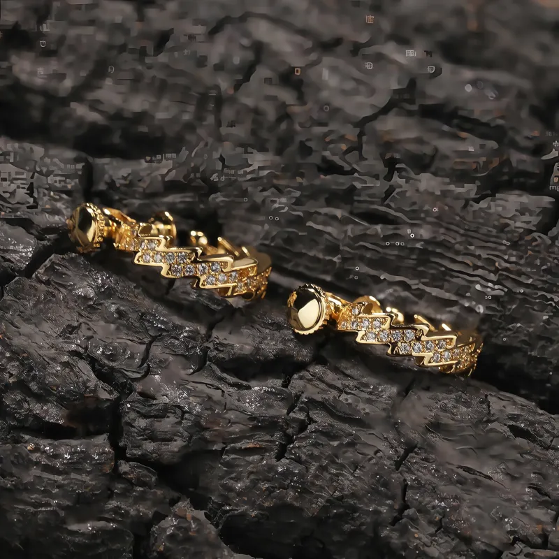 BKBU Titanium Steel Zircon Earrings Unisex-1