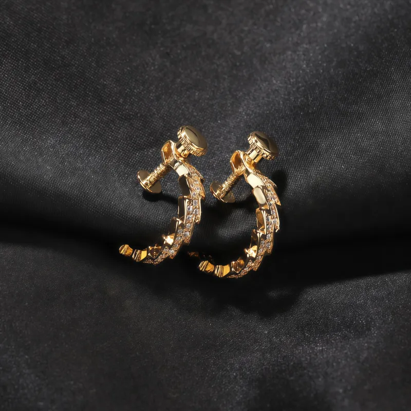 BKBU Titanium Steel Zircon Earrings Unisex-3