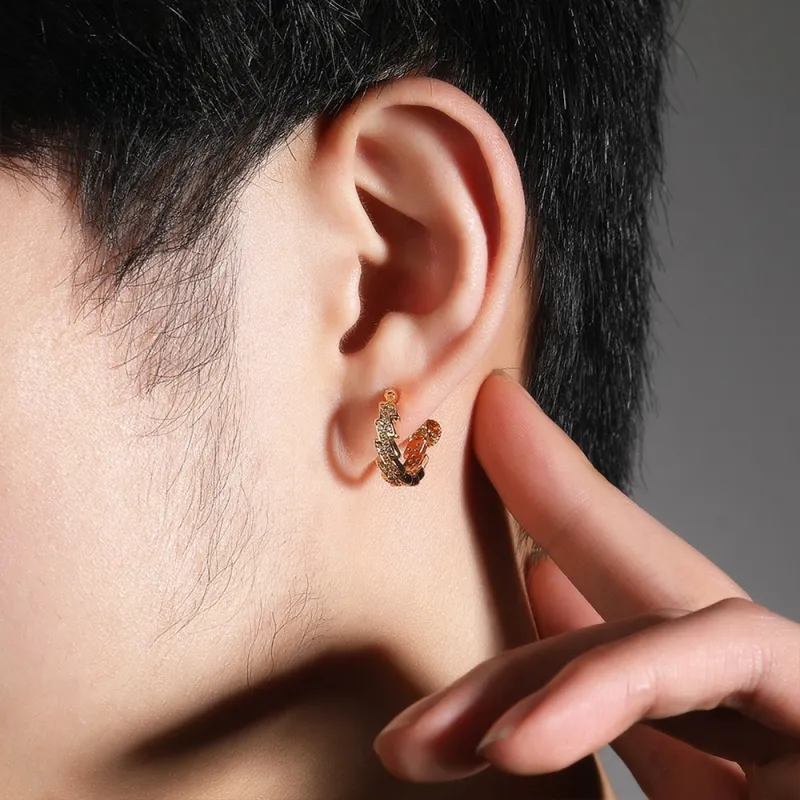 BKBU Titanium Steel Zircon Earrings Unisex-4