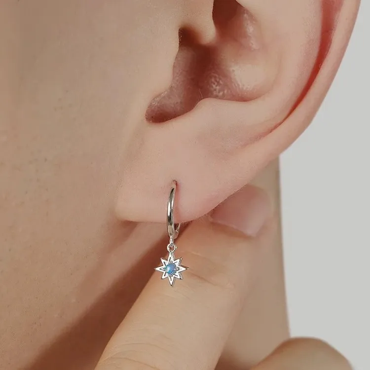 BKBU 925 Sterling Silver Needle Titanium Steel Earrings Unisex-1