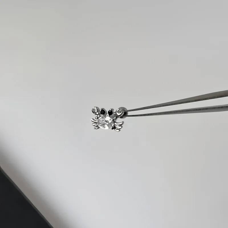BKBU 990 Foot Silver Zircon Stud Earrings Unisex-5