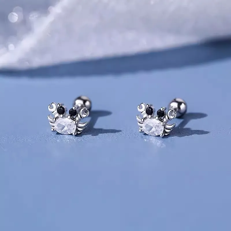 BKBU 990 Foot Silver Zircon Stud Earrings Unisex-4