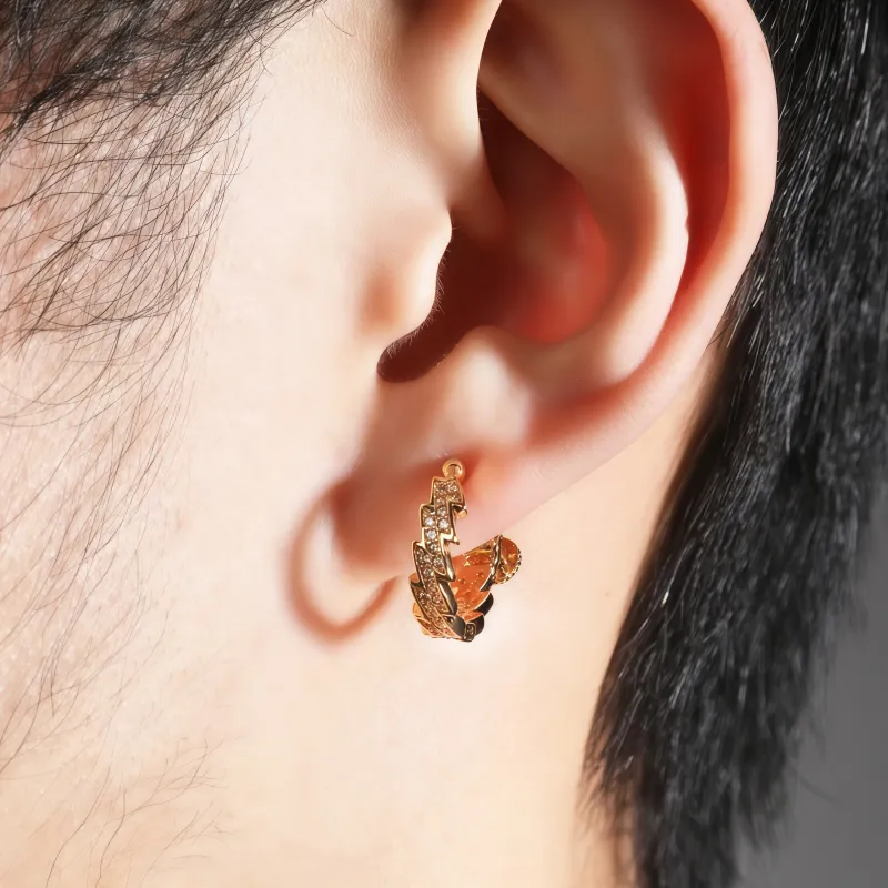 BKBU Titanium Steel Zircon Earrings Unisex-2