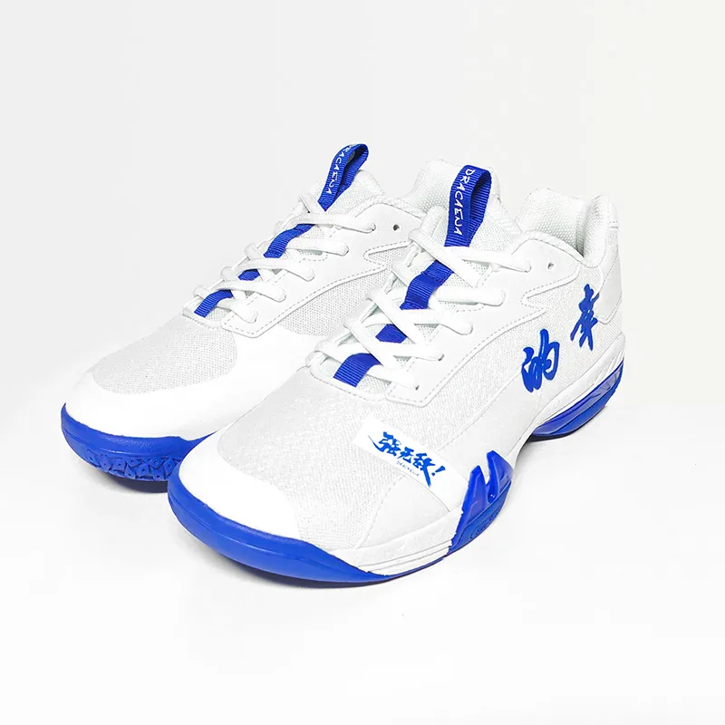DRACAENA Shock Absorbers With Slip Resistant And Abrasion Resistant Properties Low Top Badminton Shoes Unisex-18