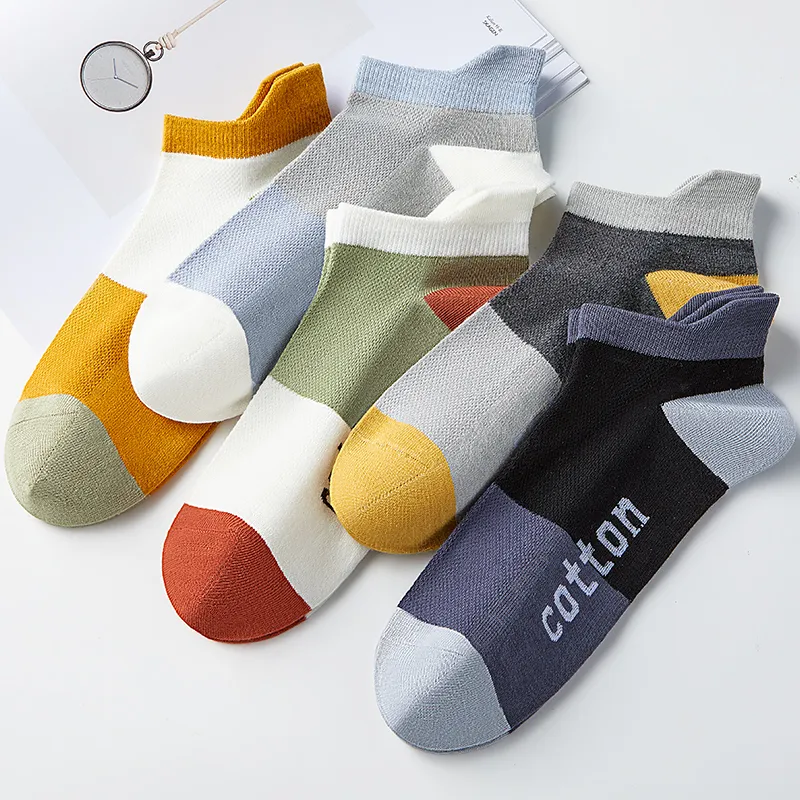 Lanza Men Socks-18