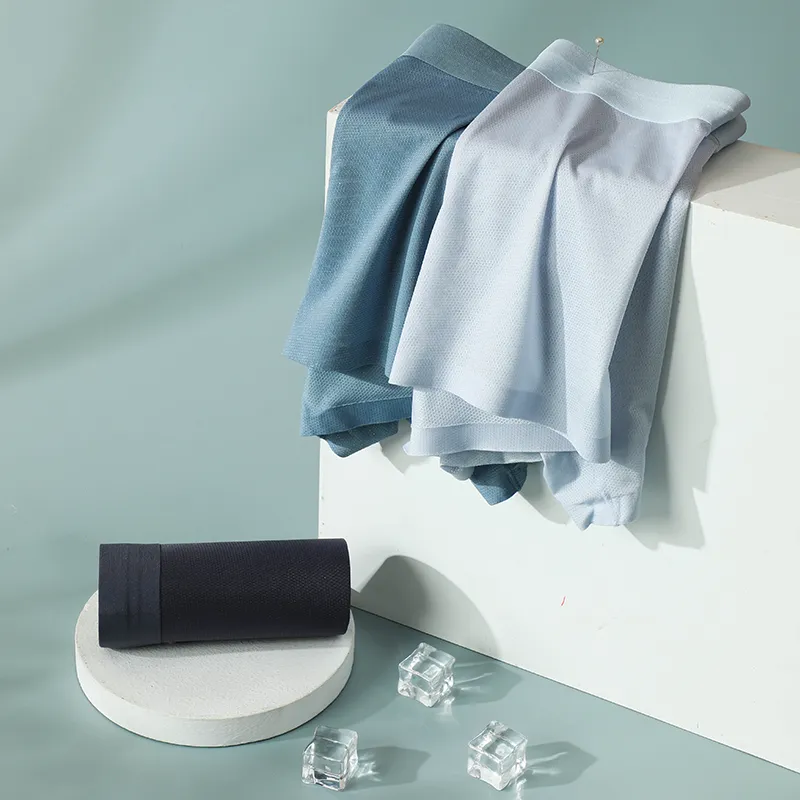 Lanza Men Underpants-3