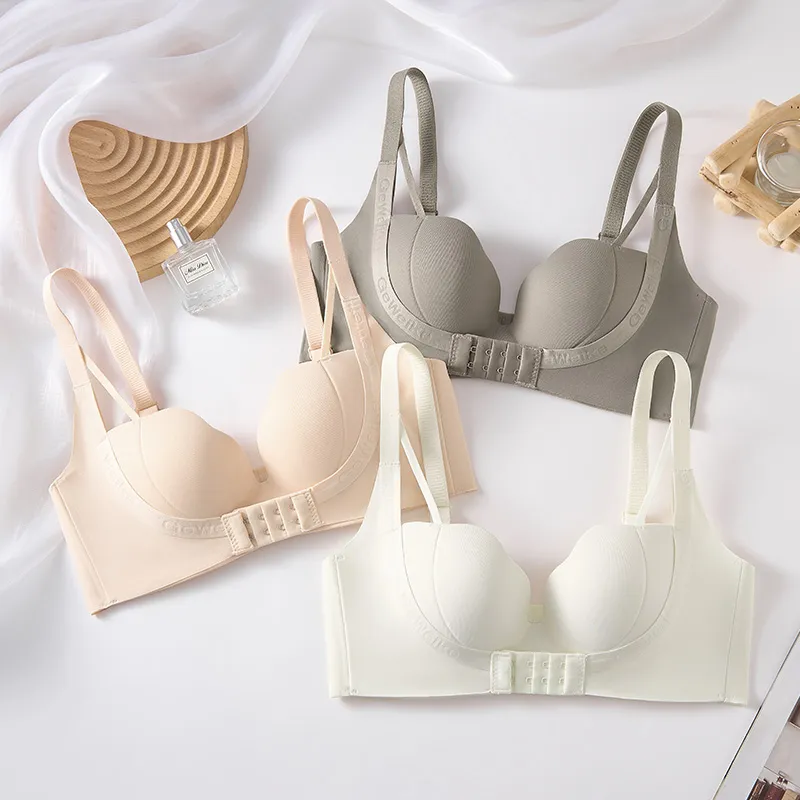 Lanza Women's Bras-1