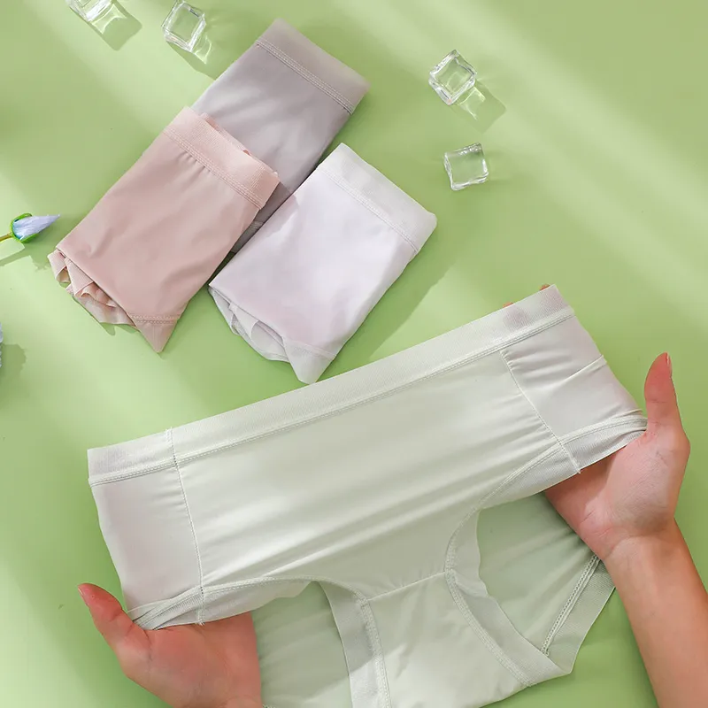 Lanza Underpants Women's 4 Pack-2