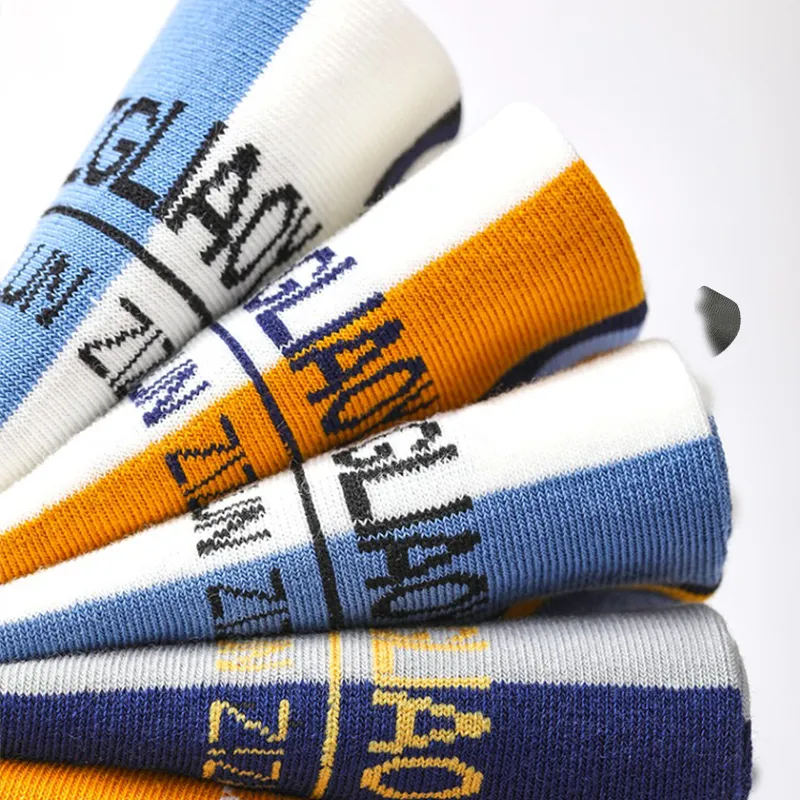 Lanza Men Socks-9