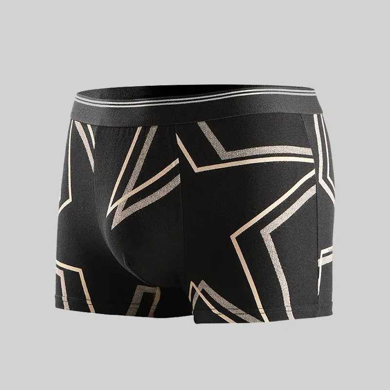 Lanza Men Underpants-9