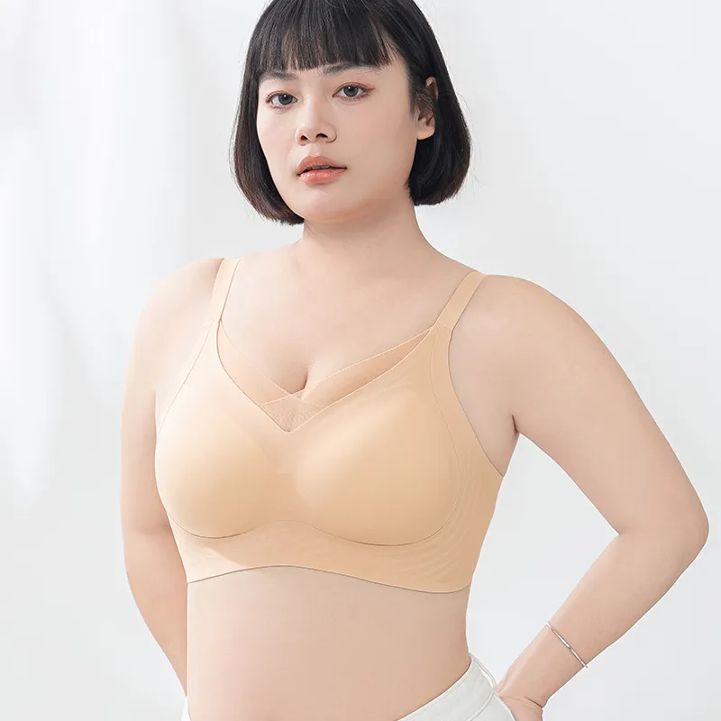 Lanza Women's Bras-12