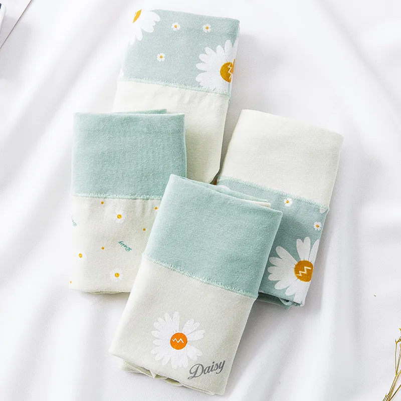 Lanza Underpants Women's 4 Pack-3