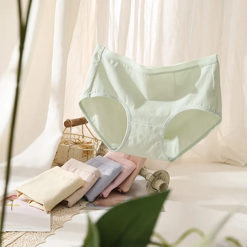 Lanza Women's Underpants-4