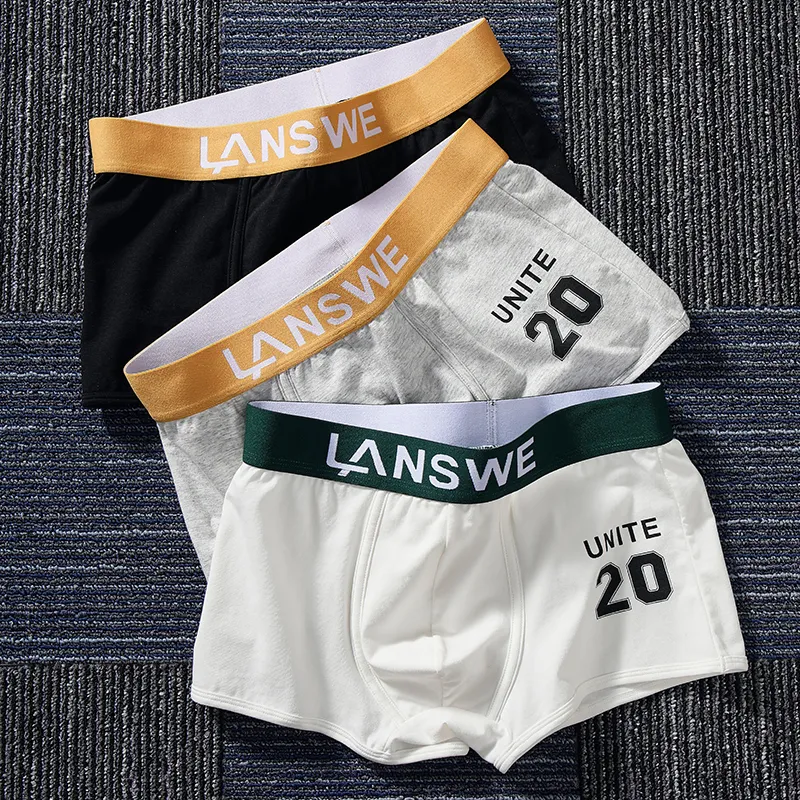 Lanza Underpants Men's Box 3 Pack-2