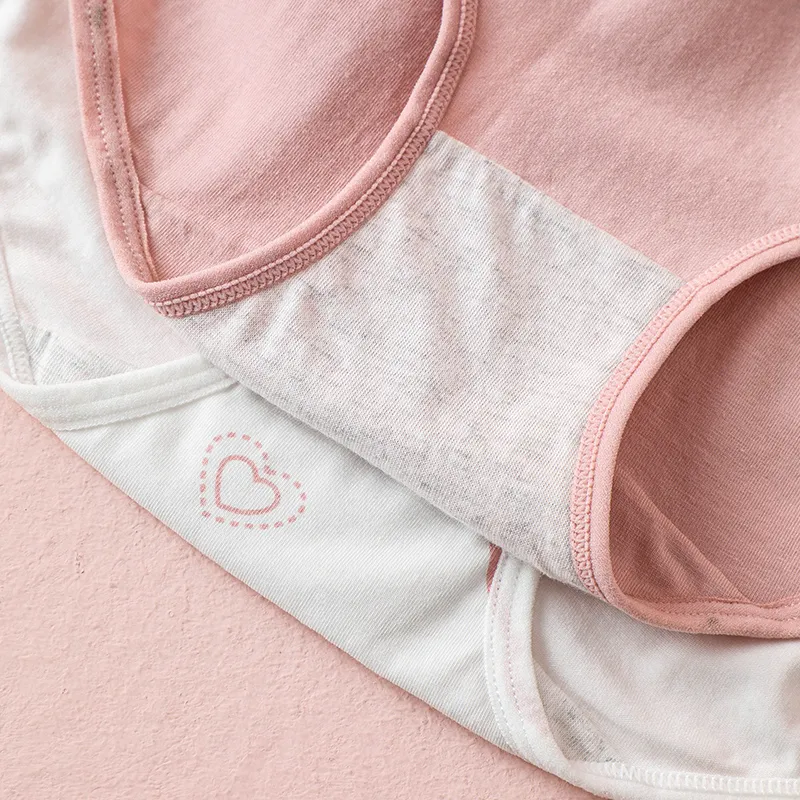 Lanza Underpants Women's 5 Pack-3