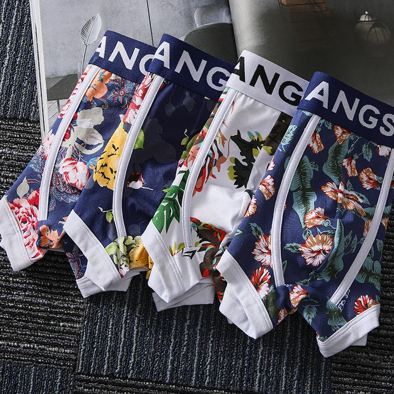 Lanza Underpants Men's Box 4 Pack-1