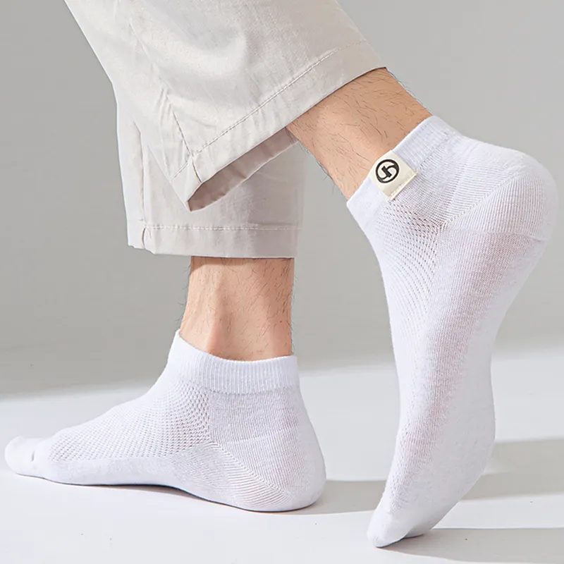 Lanza Men Socks-5