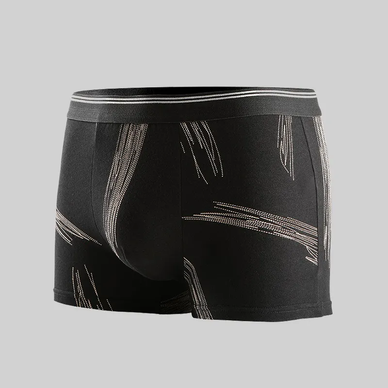 Lanza Men Underpants-10