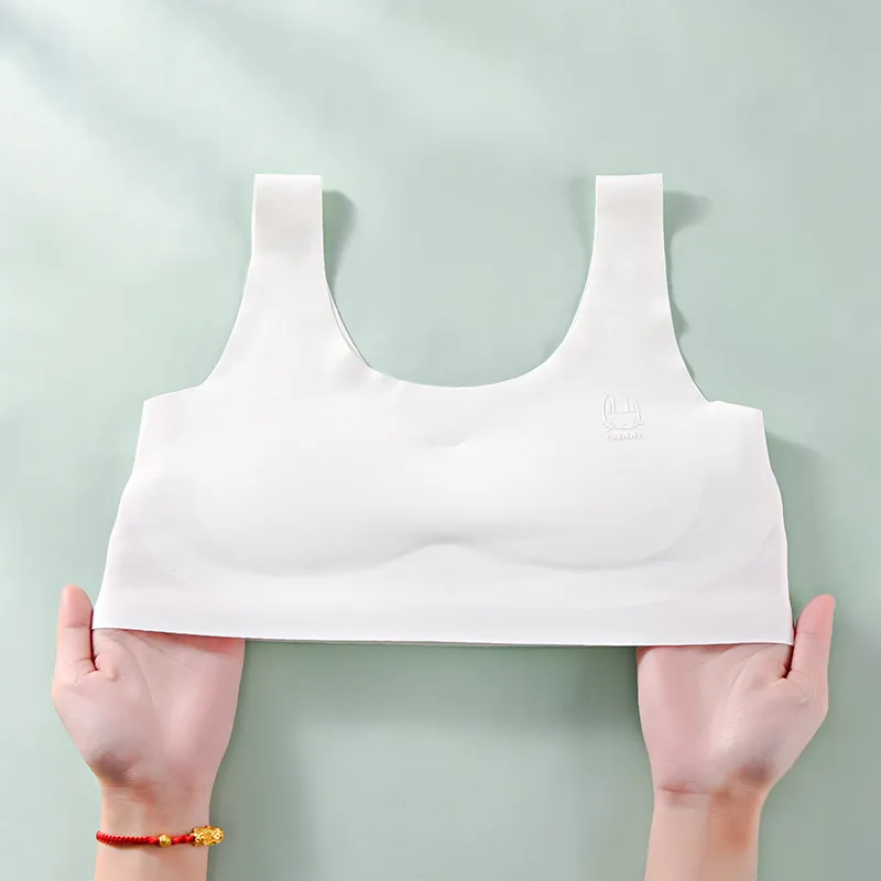 Lanza Women's Bras-3