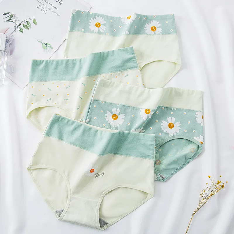 Lanza Underpants Women's 4 Pack-1