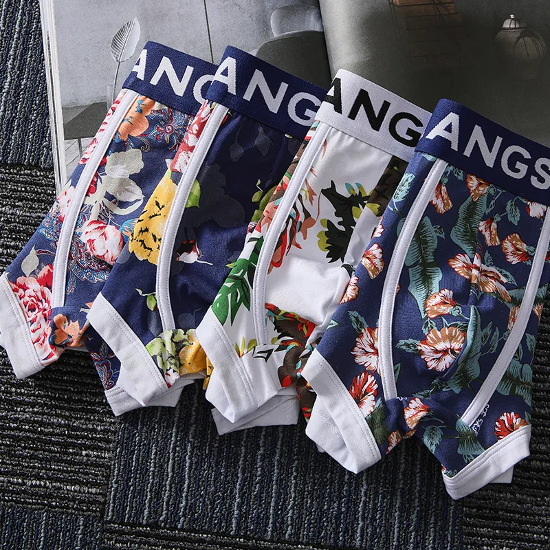 Lanza Underpants Men's Box 4 Pack-5