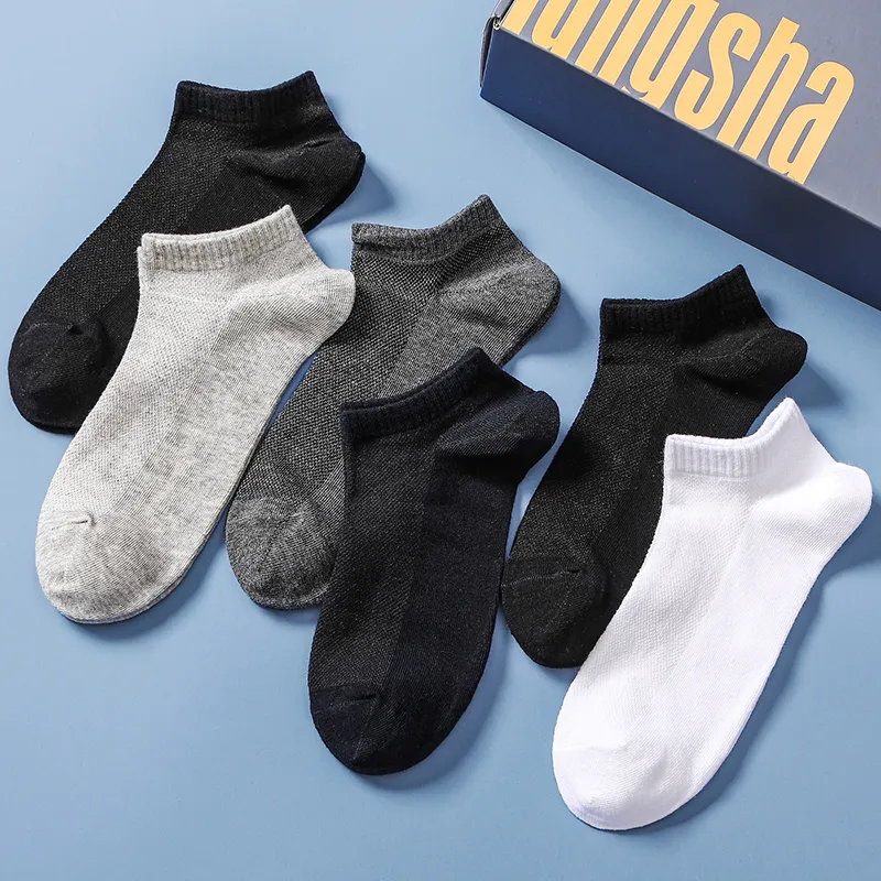 Lanza Men Socks-7