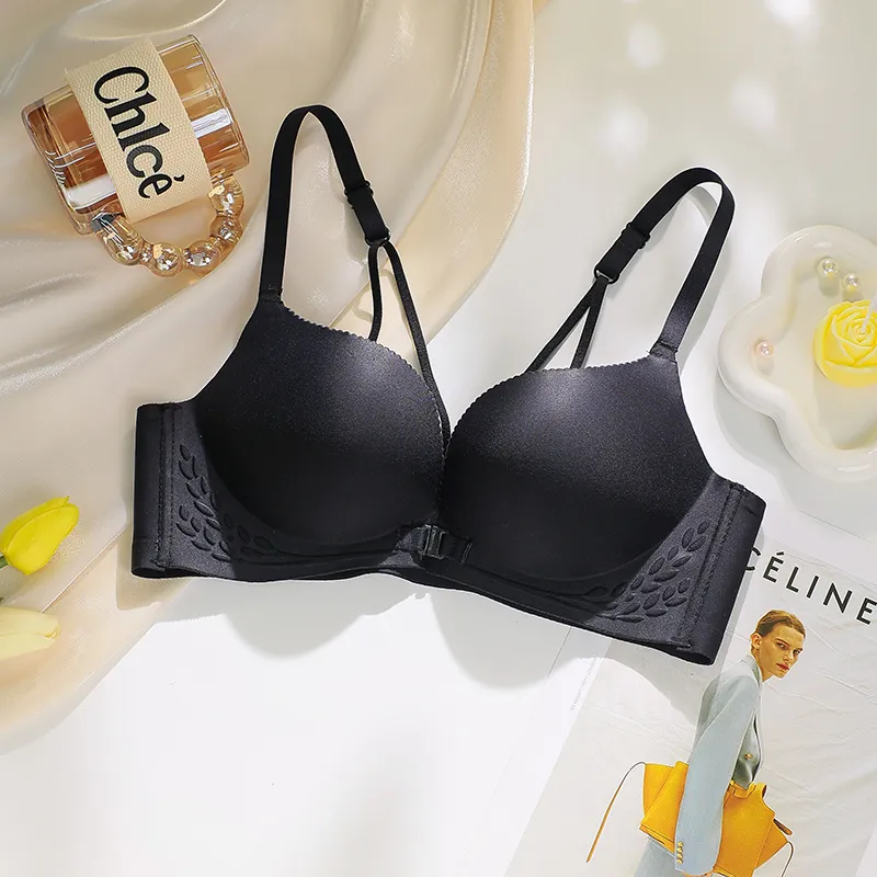 Lanza Women's Bras-1