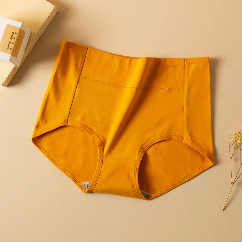 Lanza Underpants Women's 4 Pack-3