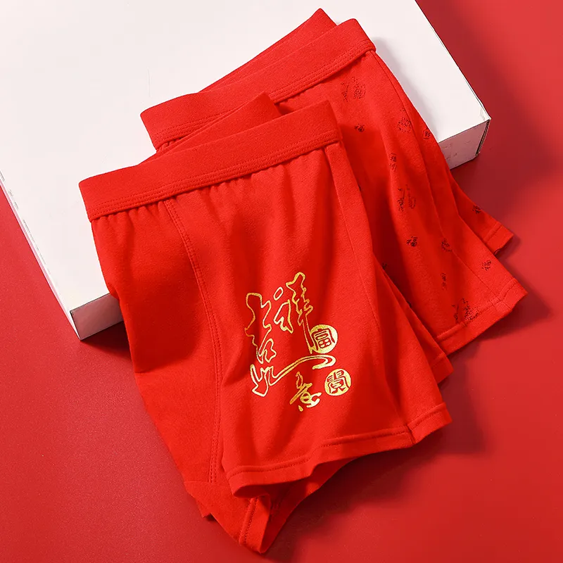 Lanza Underpants Men's 2 Boxes Of Gift Sets-11
