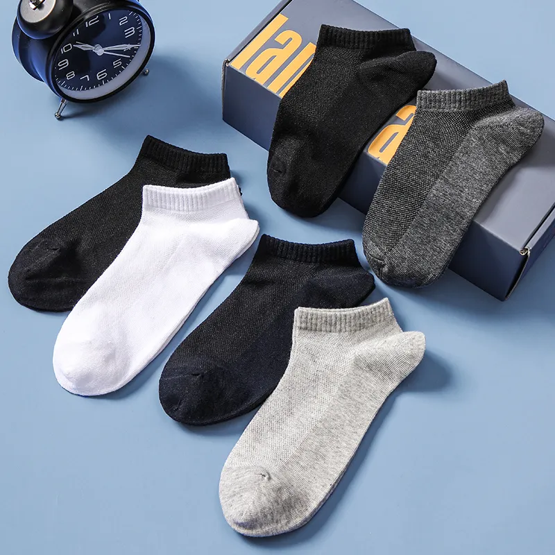 Lanza Men Socks-8