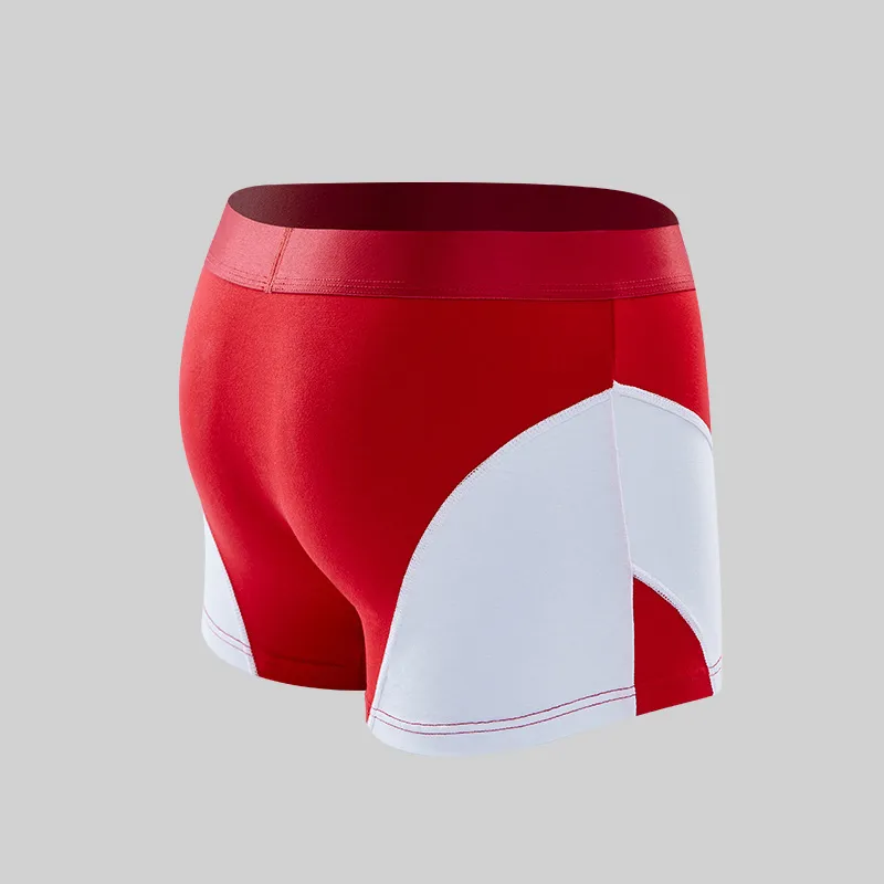 Lanza Men Underpants-2