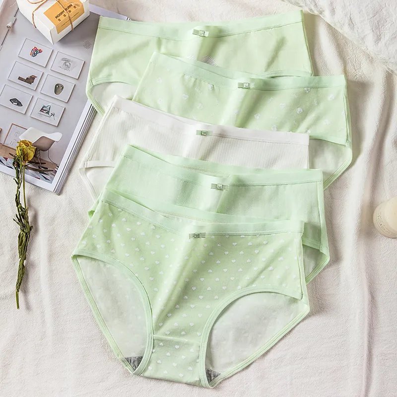 Lanza Underpants Women's 5 Pack-4