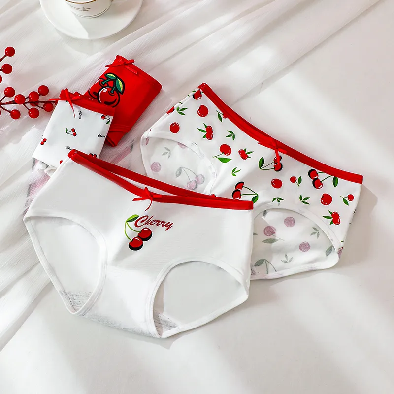 Lanza Underpants Women's 4 Pack-4
