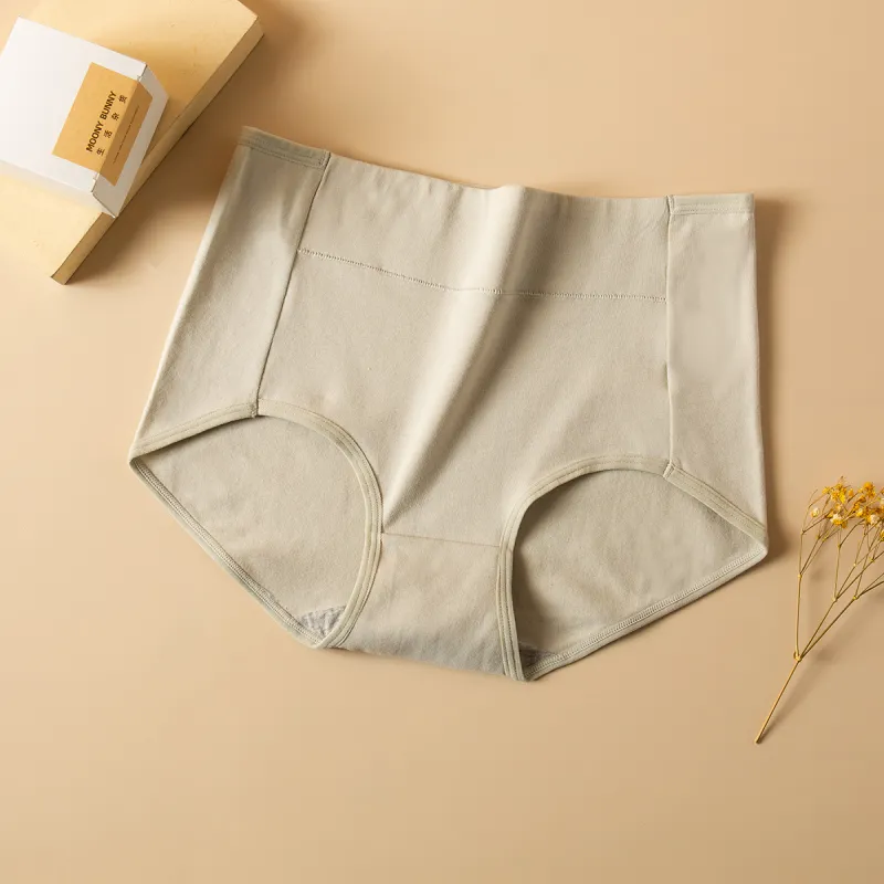Lanza Underpants Women's 4 Pack-5