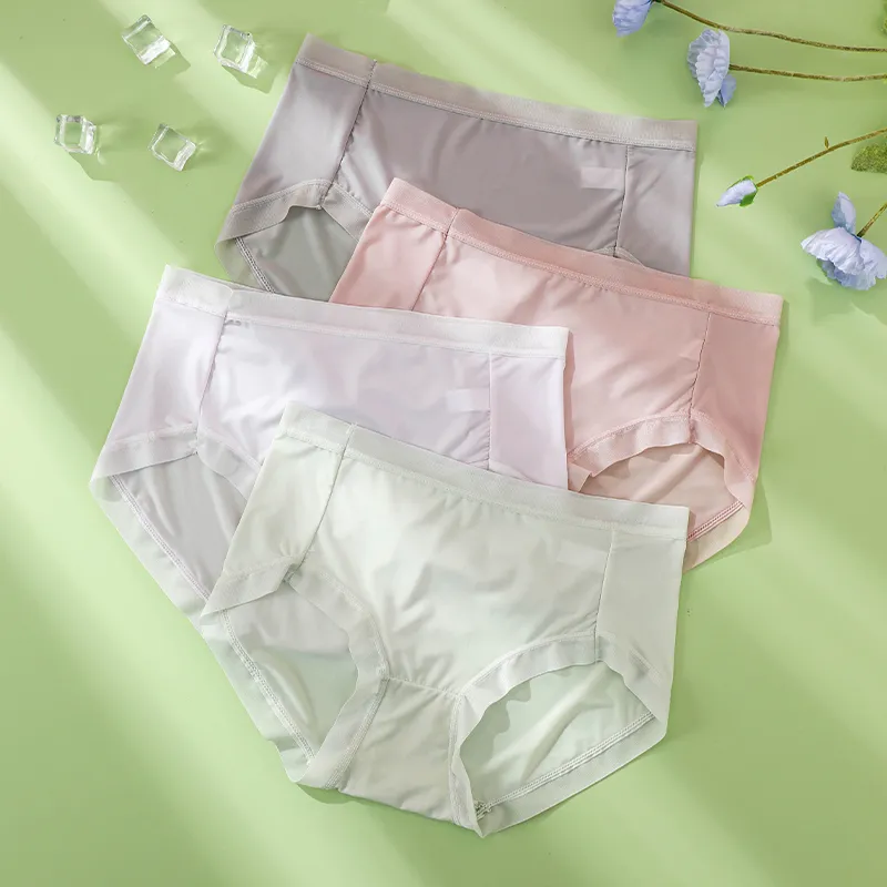 Lanza Underpants Women's 4 Pack-4