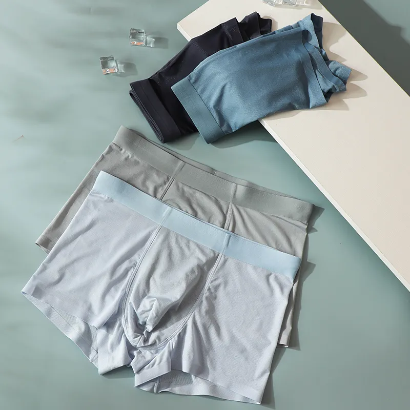 Lanza Men Underpants-4