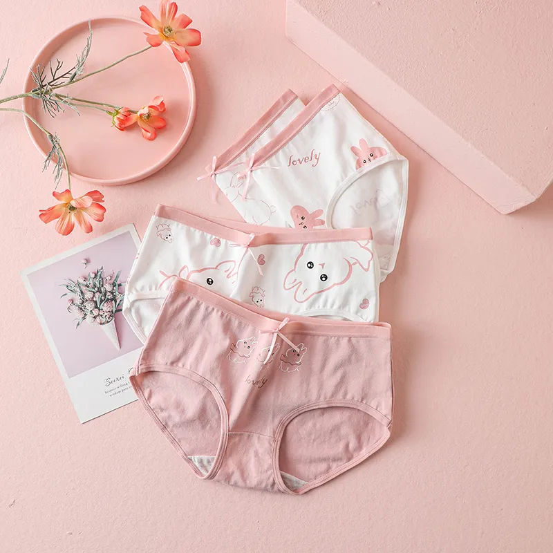 Lanza Underpants Women's 5 Pack-2