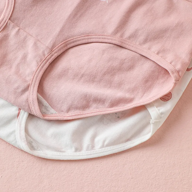 Lanza Underpants Women's 5 Pack-5