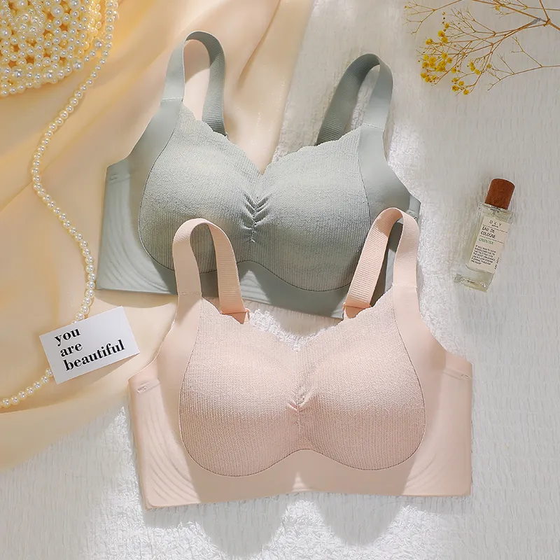 Lanza Women's Bras-1