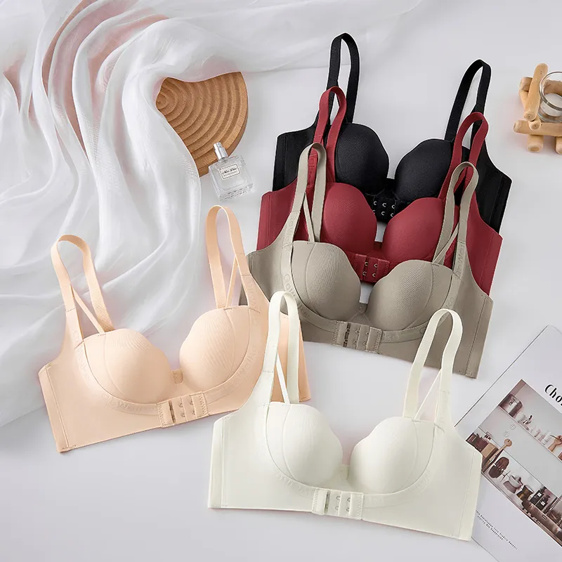 Lanza Women's Bras-3