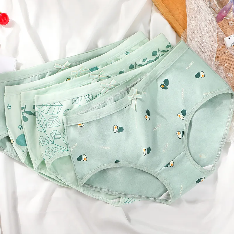 Lanza Underpants Women's 5 Pack-2