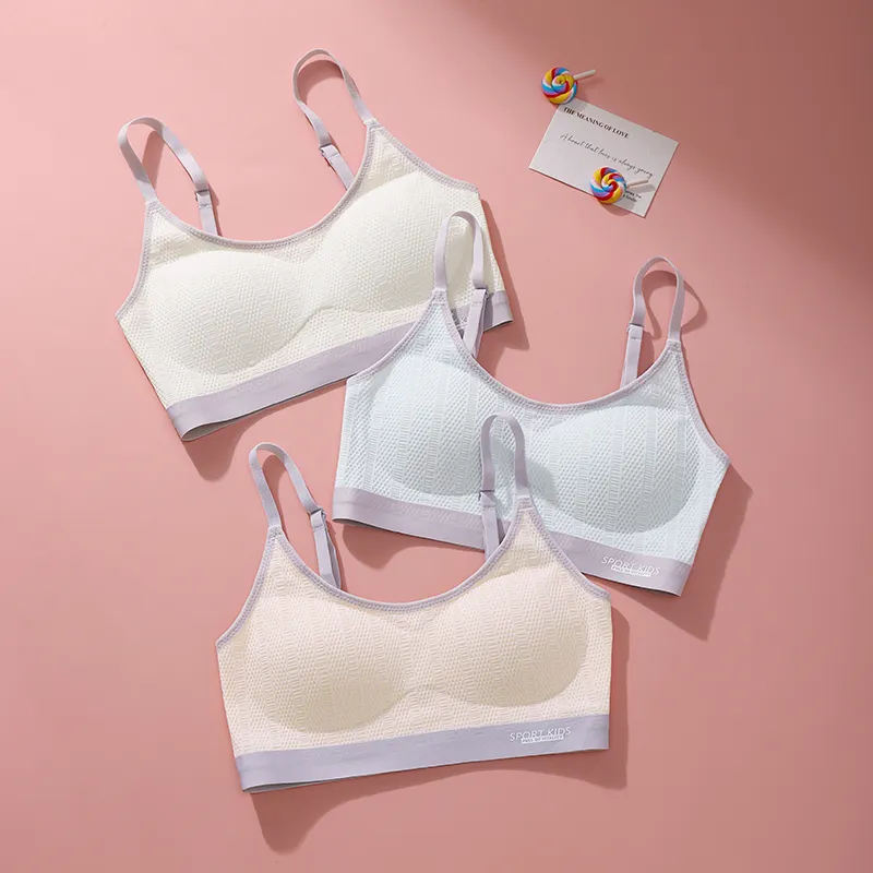Lanza Women's Bras-1
