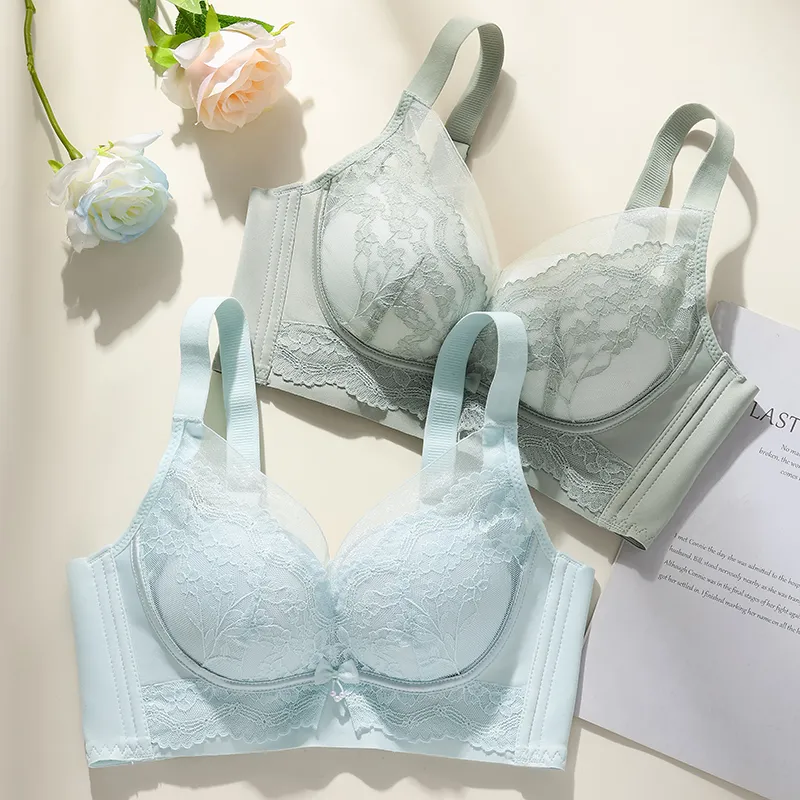 Lanza Women's Bras-3